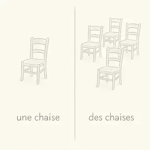 Definite Articles, une chaise, des chaises