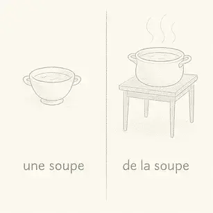 french articles, partitive articles in french